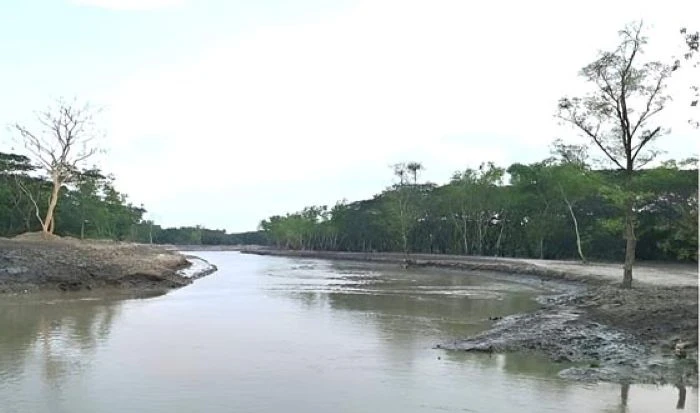 দুই যুগ পর প্রাণ ফিরে পেল সুন্দরবনের আড়ুয়াবেড় ও খড়মা খাল, জোয়ার-ভাটার স্রোতে উচ্ছ্বসিত জেলে-মৎস্যজীবী